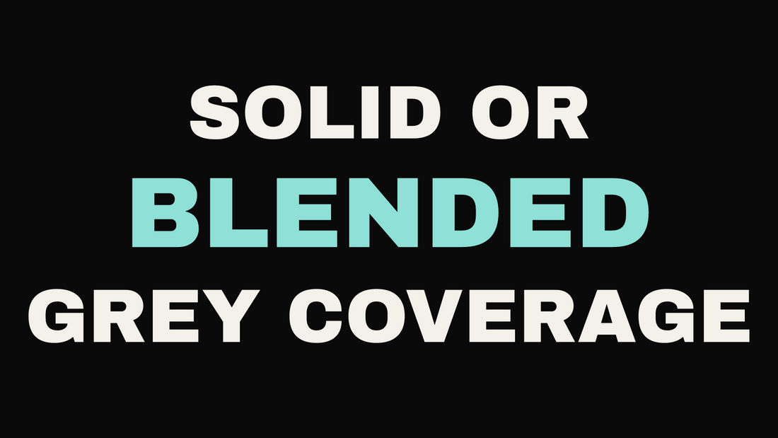 Solid vs blended grey coverage hair options at Eleven11 Hair Studio, Rolling Meadows IL.