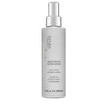 Kenra Smoothing Sleek Spray