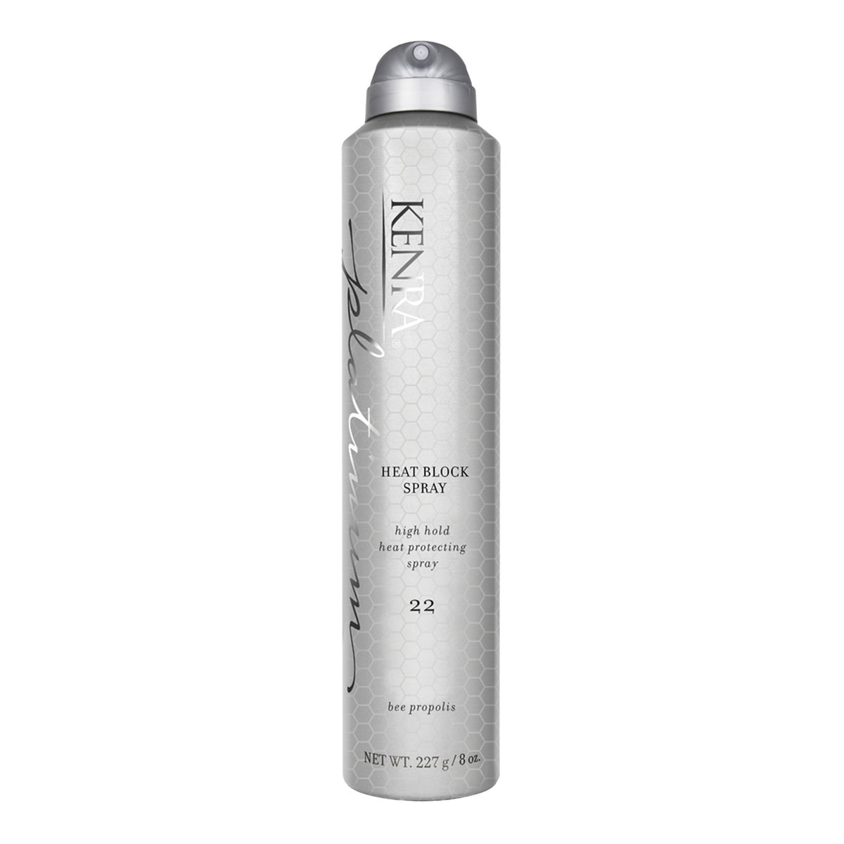 Kenra Heat Block Spray 22